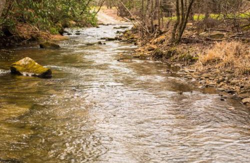 Cherry Log House | Reel Medicine - Cherry Log, GA - Enjoy Peaceful Creek Views, Soak in the Hot Tub, Gather Around the Fire Pit, and Cozy Up by the