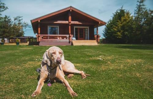 Berwick-upon-Tweed Ski Chalet | Strathisla - Luxury Two Bedroom Log Cabin with Private Hot Tub & Sauna