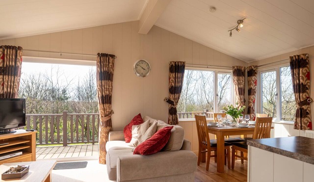 4 Atlantic Crescent Lodge - 2 Bed-Sleeps 4-TJS4AC in Ilfracombe