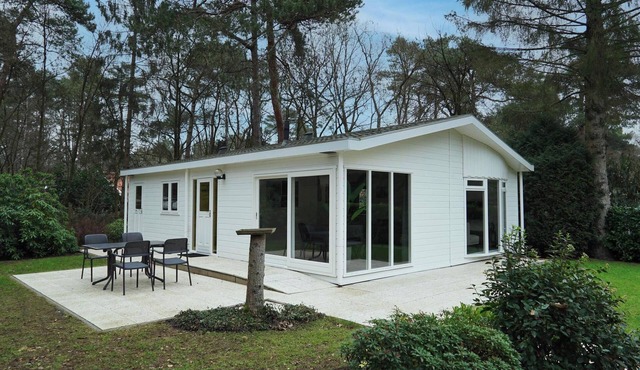 4 persons chalet with 2 bedrooms and a terrace in Beekbergen