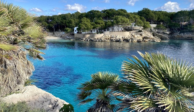 Adults-Only Apt on Finca for Relaxation in Son Macia