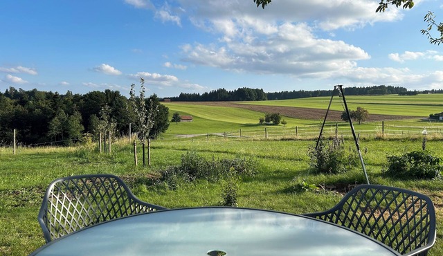 Apartment with forest view near bathing lake in Seewald