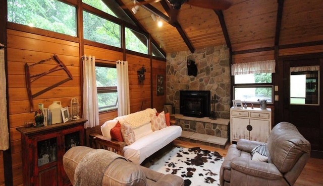 Cabin: Updated Mountain Lakefront; Hiking, Canoeing, Fishing, For the whole family in Hendersonville