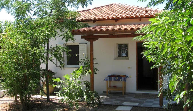 Calm located, amid an olive grove, close to the beach, wifi | holiday house Ilia in Kakovatos