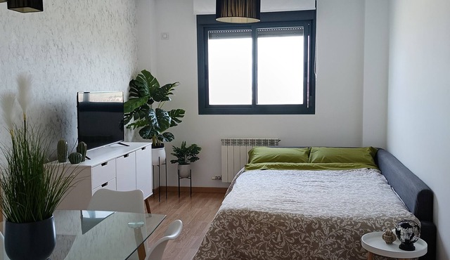 central and comfortable apartment in Madrid