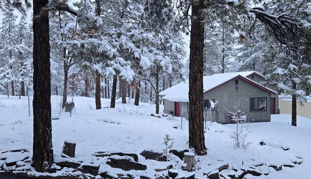 Charming 1-bedroom cottage perfect for a relaxing Durango getaway in Durango