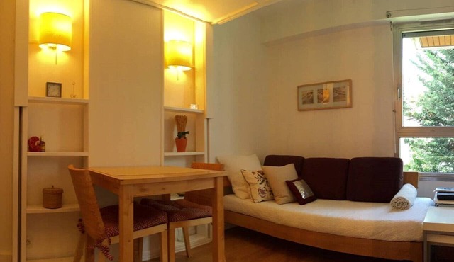 Charming 1-bedroom studio close to Eiffel Tower in Paris