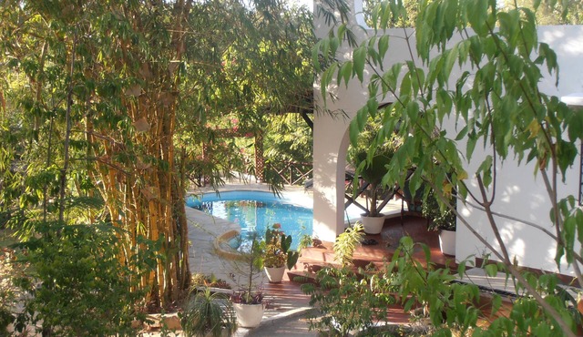 Comfortable bungalow, private swimming pool,excellent cook,near the beach,canoing,boat trips,fishing, situated in a lush tropical garden,Eco-friendly environment, in Kilifi