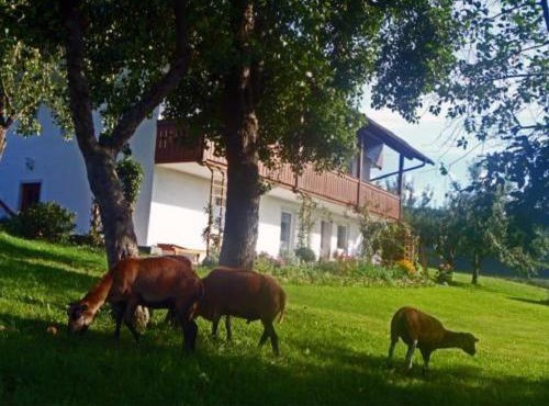 Ferienhof Pfeffer in Lam