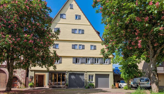 Historic vacation home Spital - 24 Pers. , Wifi, large group room, 9 bedrooms, 5 bathsrooms in Dornstetten