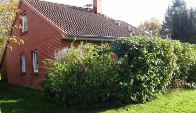 Holidayhome up to 6 pers., near beach, in natur, for children, quiet but central in Ostseebad Boltenhagen