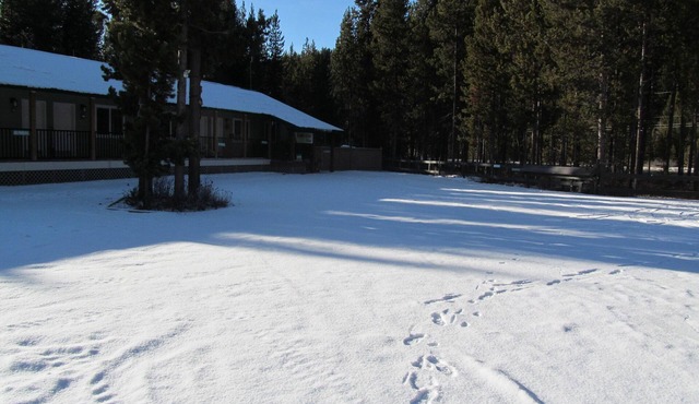 multiple suites avail. $189-219 per suite per night. contact host in Manning Park