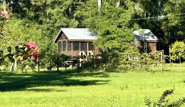 New Lakeside Cabin in Tallahassee, secluded & near town in Tallahassee
