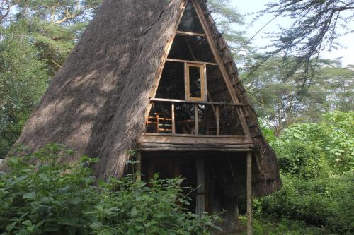 Oasis Eco Camp in Gilgil