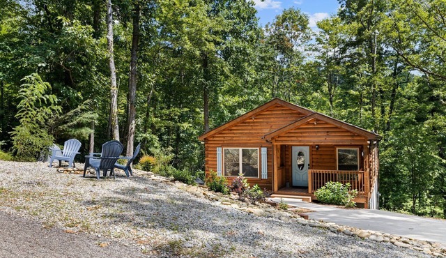 Power-Water-Internet - Cozy Cabin Haven - Near Hiking, Waterfalls & More in Saluda