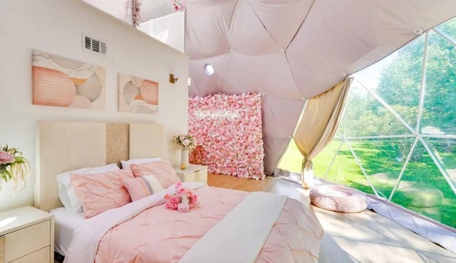 Rosé All Day Geodome - Unique Escapes "Rosé All Day" Dog Friendly Geodome in Monticello
