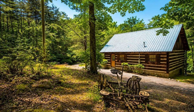 Rustic Log Cabin Retreat: Hot Tub, Pond, Pet in Copperhill