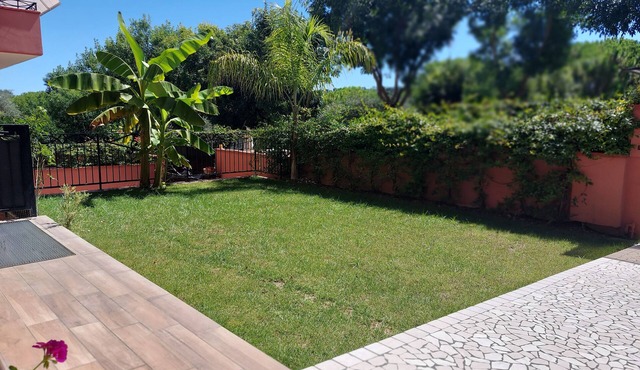 The house of olive trees in Francavilla al Mare