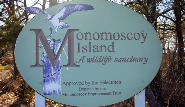 ★The Islander | Steps From Water, Fire Pit, AC★ in Mashpee