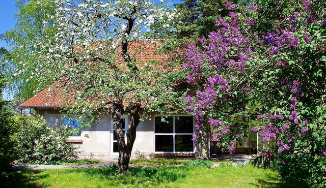 Vacation home Am Wald - Am Wald in Basedow