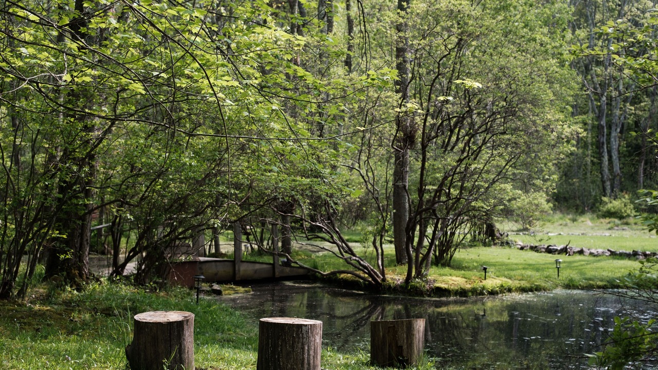 Photo of Outdoor in Kittery