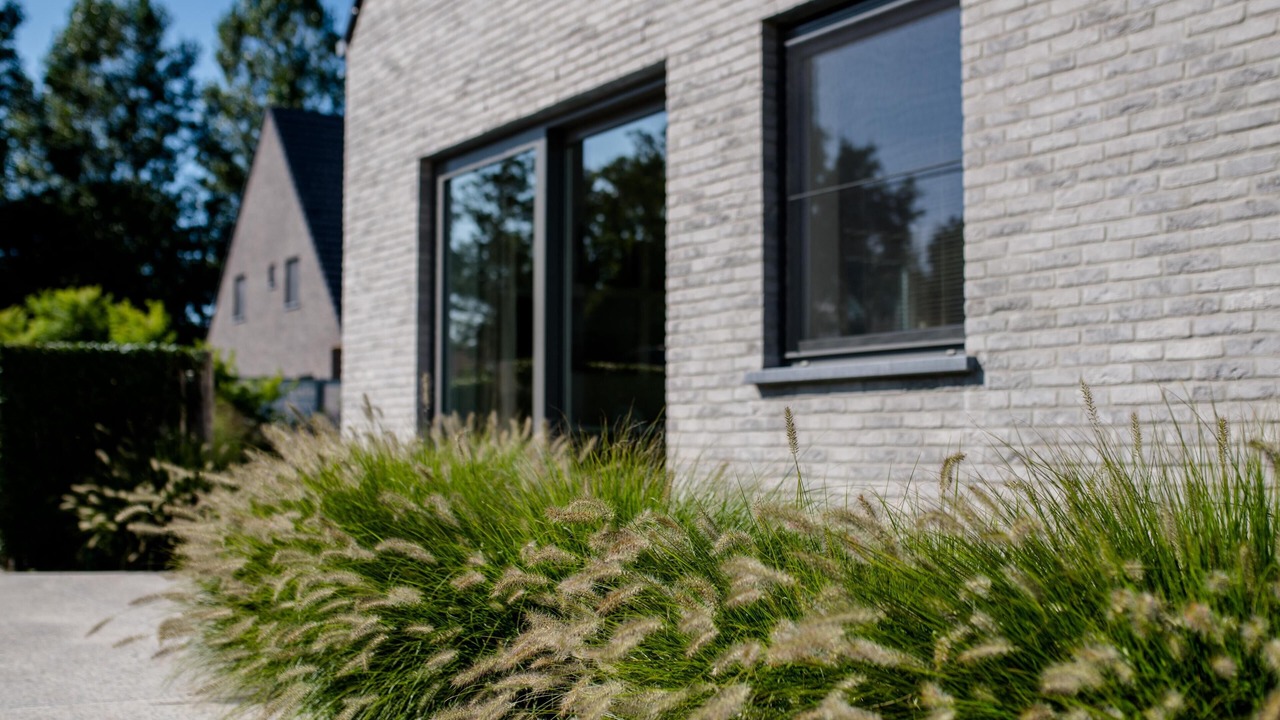 Photo of Outdoor in Vlissegem
