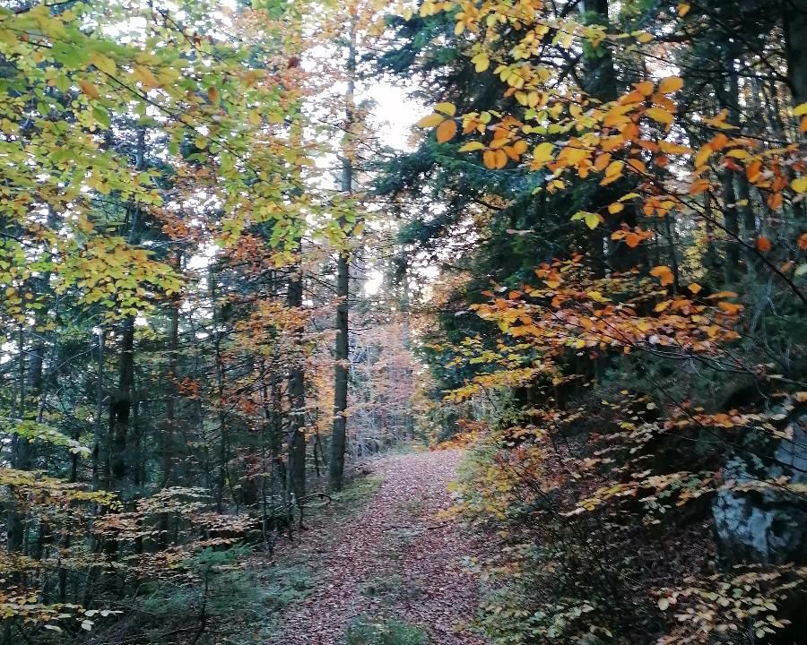 Photo of Others in Arnbruck