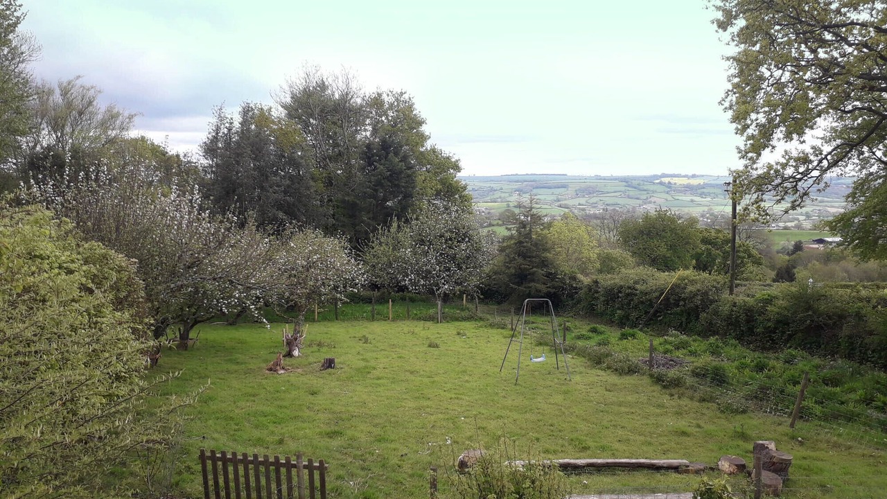 Photo of Outdoor in Honiton