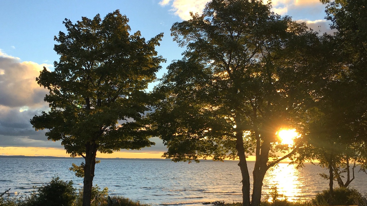 Photo of Others in Northport