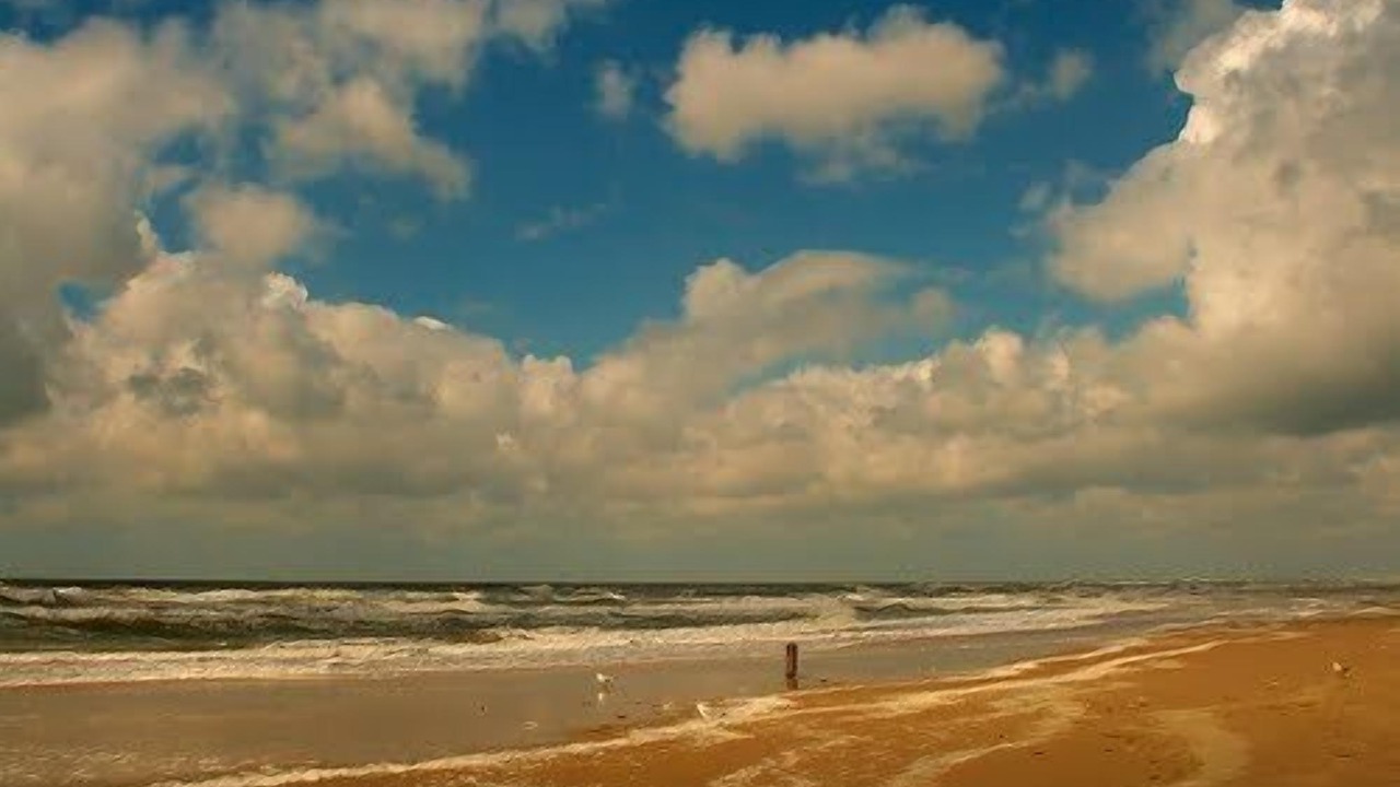 Photo of Others in Callantsoog