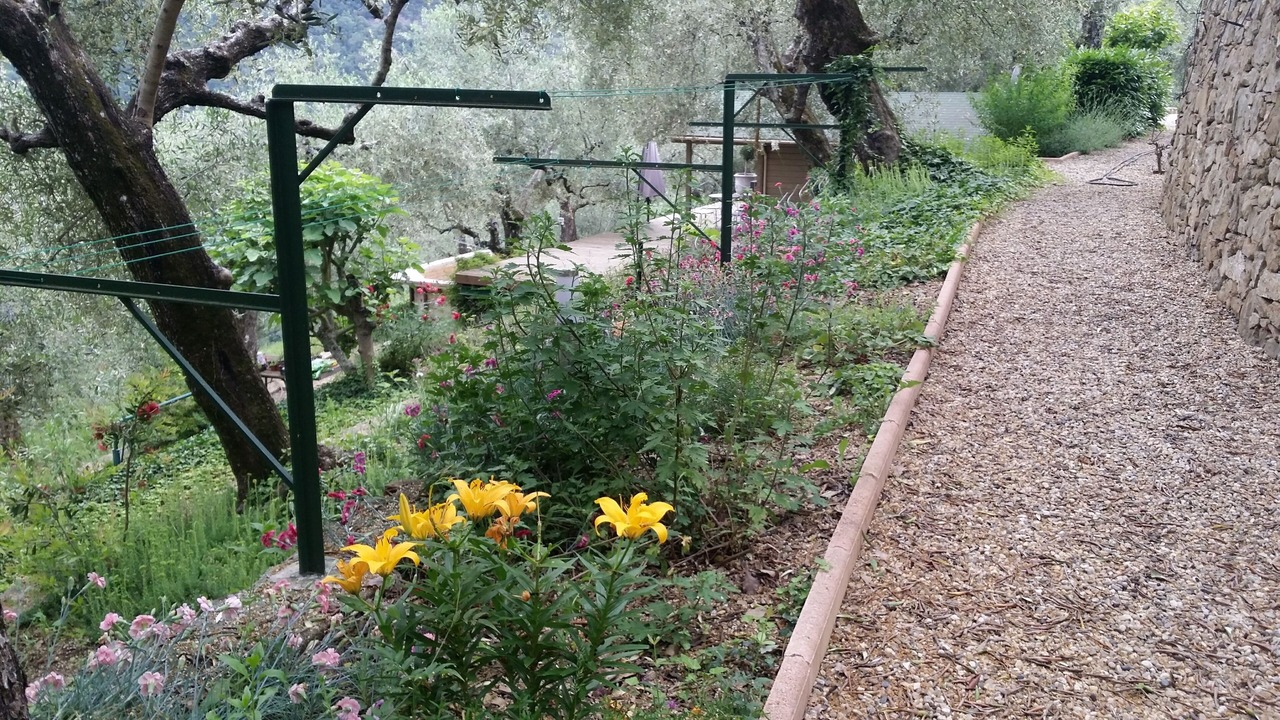 Photo of Outdoor in Rocchetta Nervina