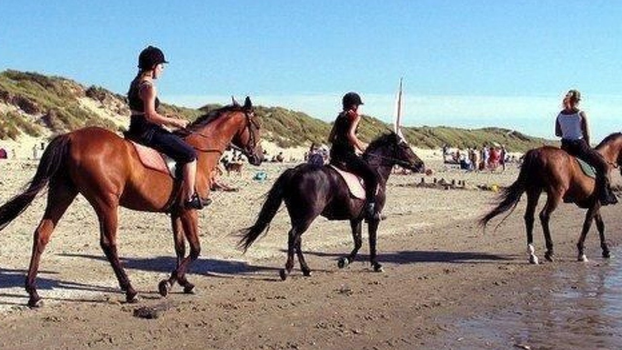 Photo of Others in Callantsoog