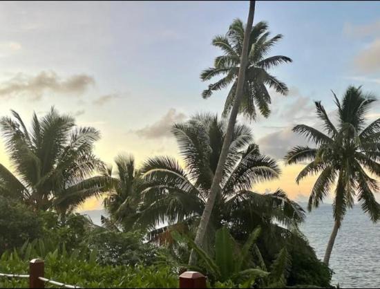 Photo of Others in Taveuni Island East