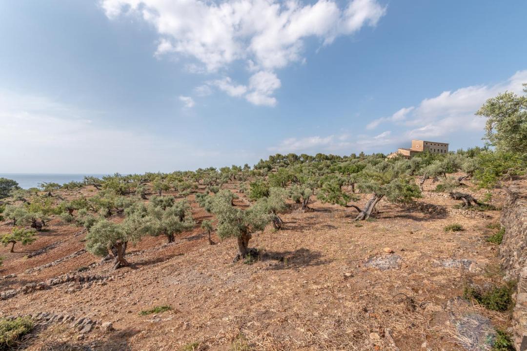 Photo of Others in Deia