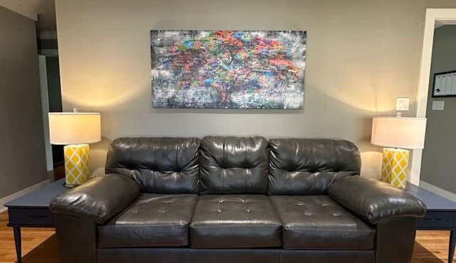 3 Bedroom 1 Bath Pet Friendly 5 min to MU in Columbia